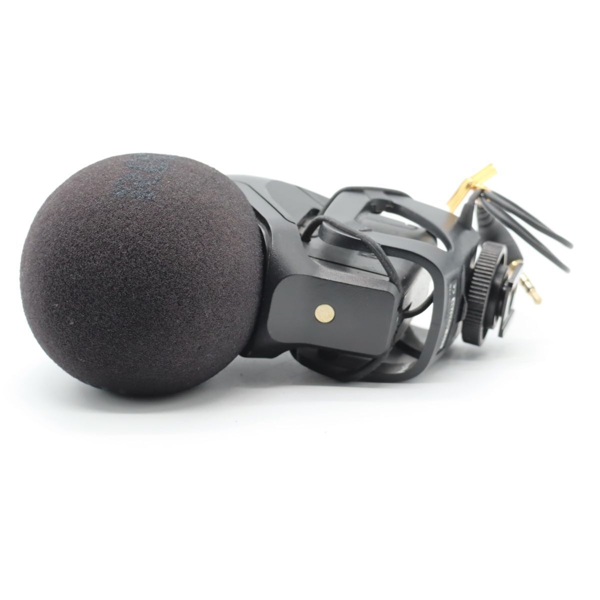 VideoMic