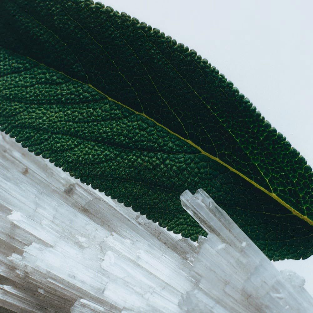 033720 並行輸入品