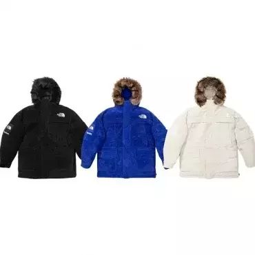 Bunjang商品韓国直送】S 2XL Supreme(シュプリーム) THE NORTH FACE(ザ