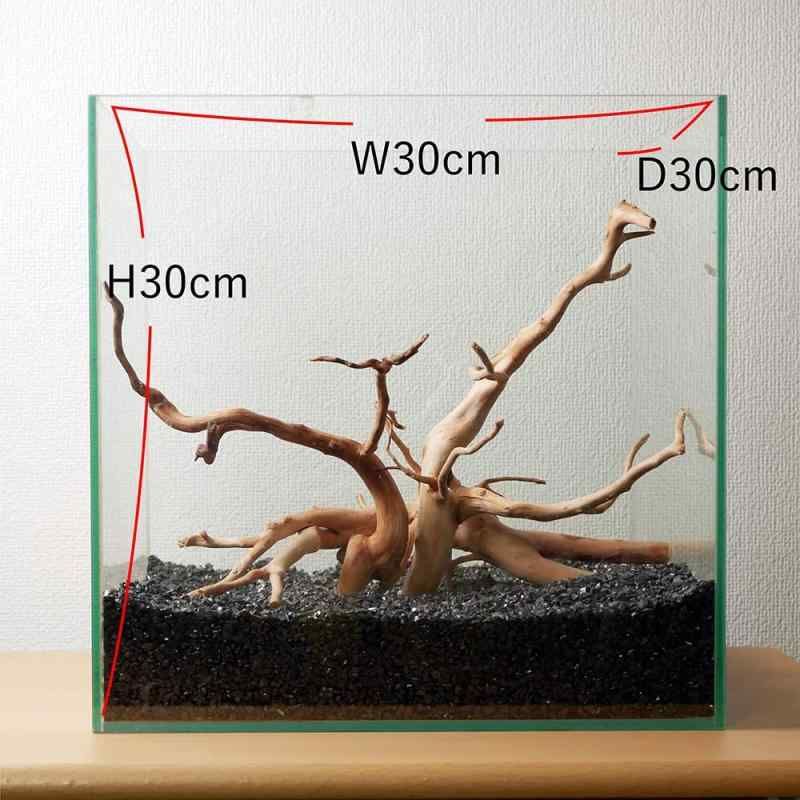 30cm水槽用 流木3本セット（ナチュラル色）【AQUASHOP wasabi