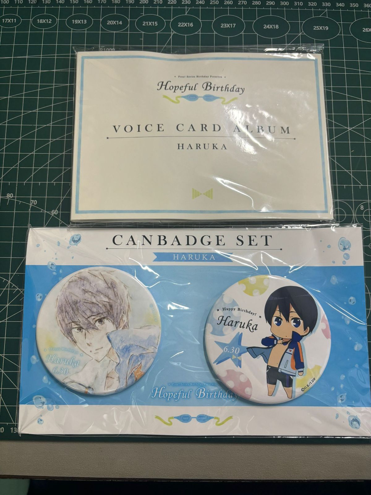 TS-00391 Free!-Dive to the Future- 七瀬遙 Hopeful Birthday