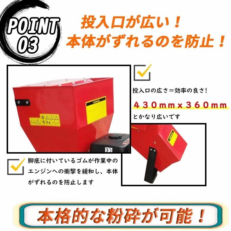 枝