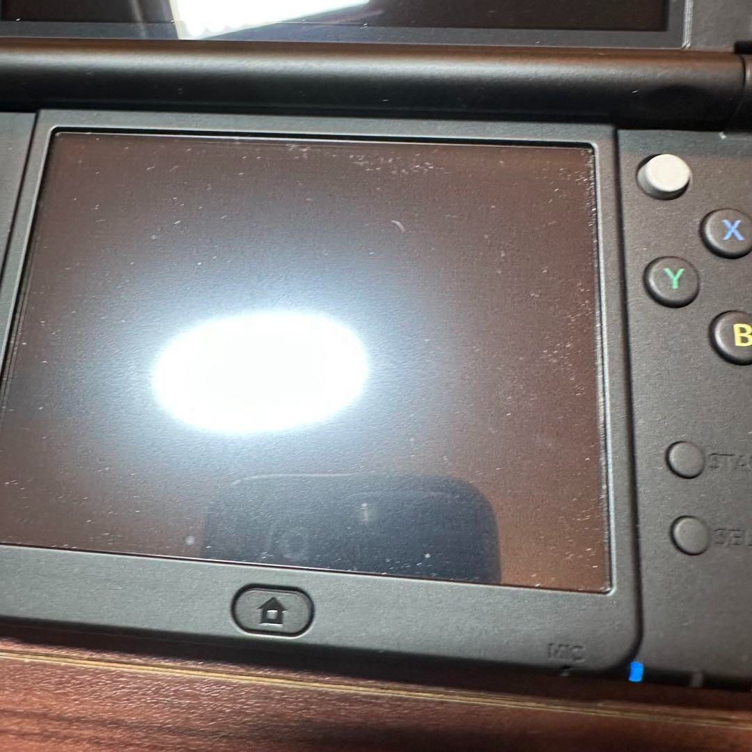 ライム×ブラック 4566