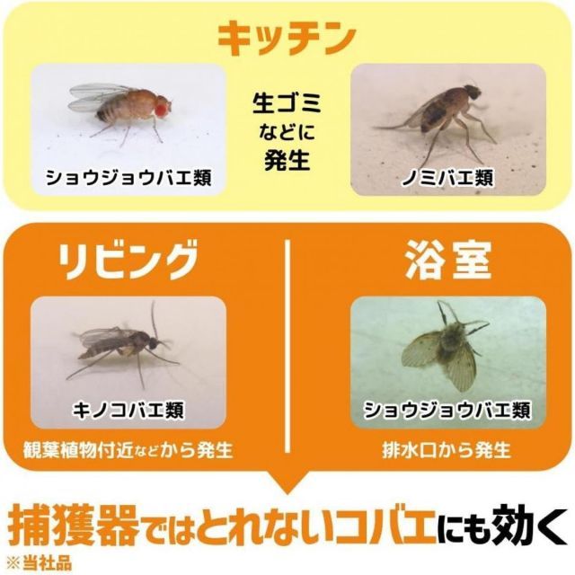 金鳥 コバエムエンダー