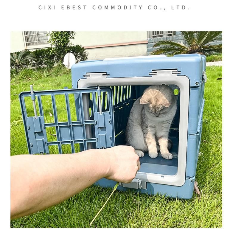 犬 猫
