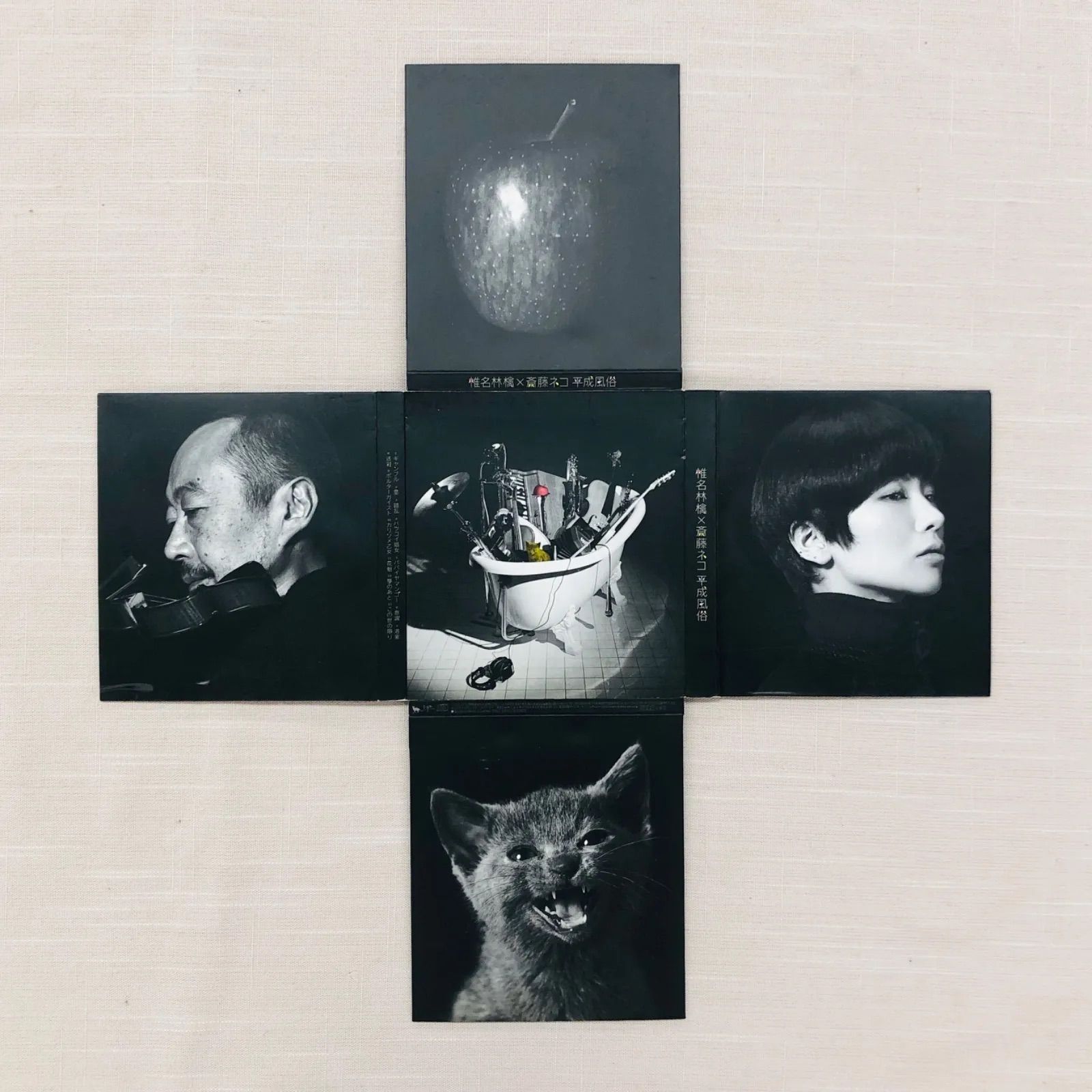 椎名林檎 x 斎藤ネコ – 平成風俗 アナログレコード LP 椎名林檎 x 斎藤ネコ – 平成風俗 – 2 x Vinyl (LP, Album), 2007