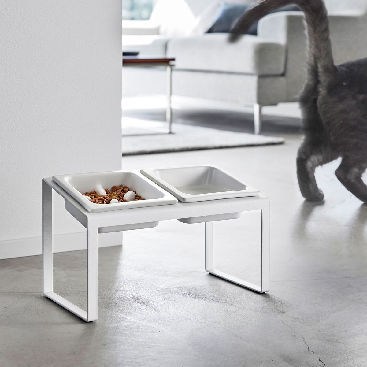 星野製茶園 抹茶 弥名の白 星友の昔 延年之昔 高級 超希少 お茶席用 茶道