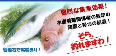 海上釣堀 専用エサ さなぎ粉パウダー配合 400g 釣り餌 養殖魚用ペレット粉末 - メルカリ