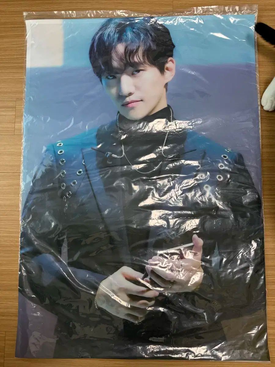 2PM ジュノ アートボード イ・ジュノ(LEE JUNHO) ポスター 未開封 2PM Japan Official on