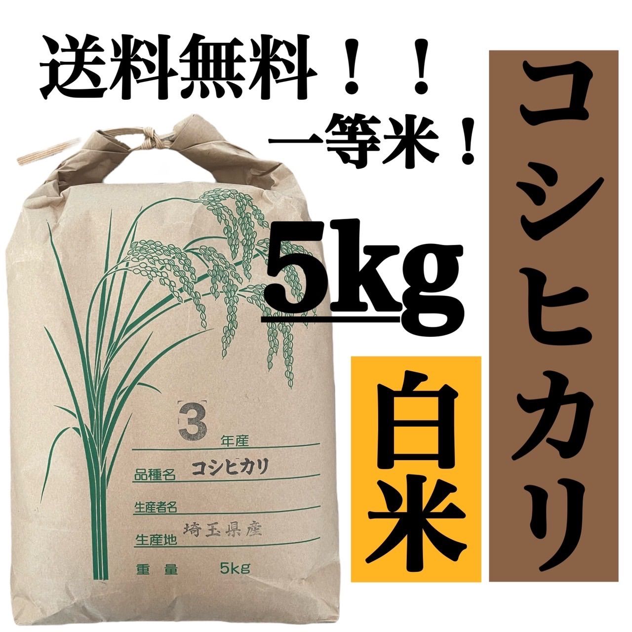 玄米 20kg コシヒカリ 新米 埼玉県産 令和5年産 送料無料 米 20キロ