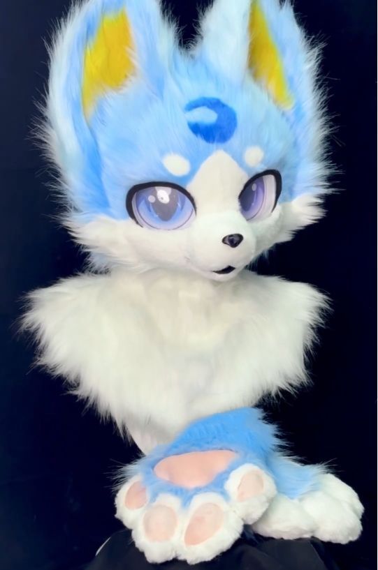 犬 青