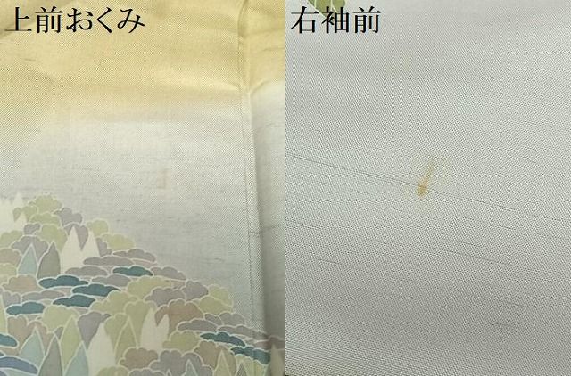 平和屋着物○訪問着 友禅 紬地 風景草花文 暈し染め 正絹 逸品