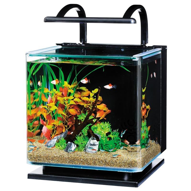 テトラ Tetra リビングキューブ 12 オールインワン水槽 淡水 海水用 容量 約12L ガラス 水槽 アクアリウム 熱帯魚 メダカ 金魚 1