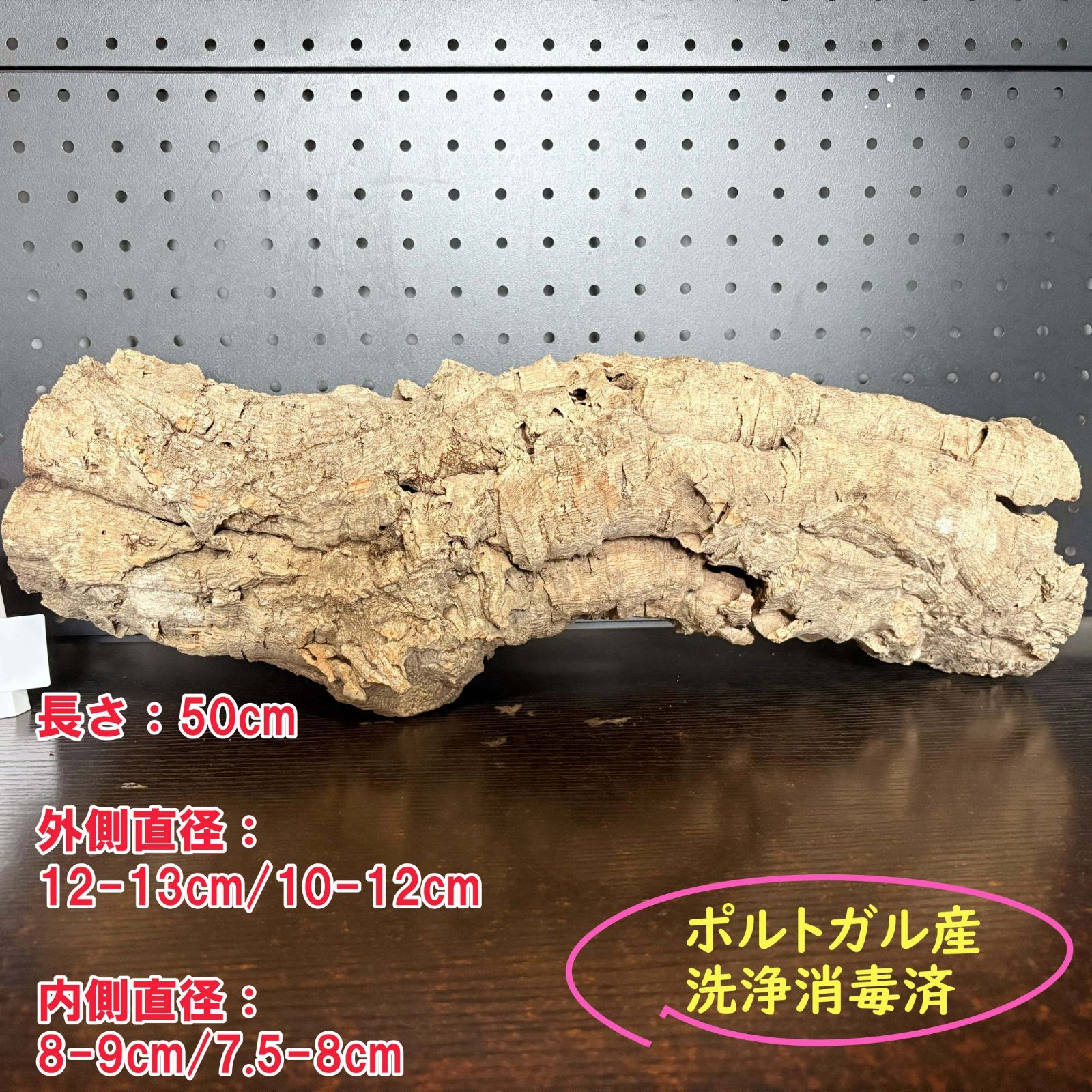 259S15 ポルトガル産 キャノンコルク コルク樹皮 コルク板 バージンコルク チランジア ビカクシダ 着生ラン 両生類 爬虫類