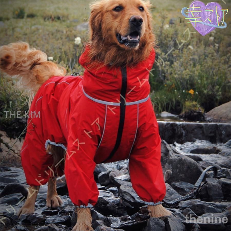 犬 犬レインコート