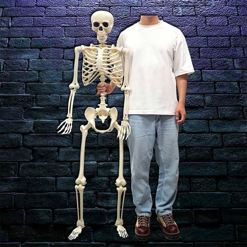 特大 ガイコツ ドクロ オブジェ 置物 155cm ドクロ 可動式