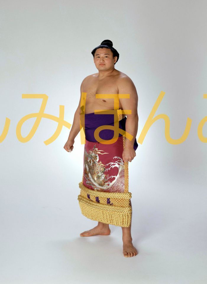 貴ノ花光司関 優勝ミニ額 大相撲ミニ額 大相撲優勝額 平成6年1月場所