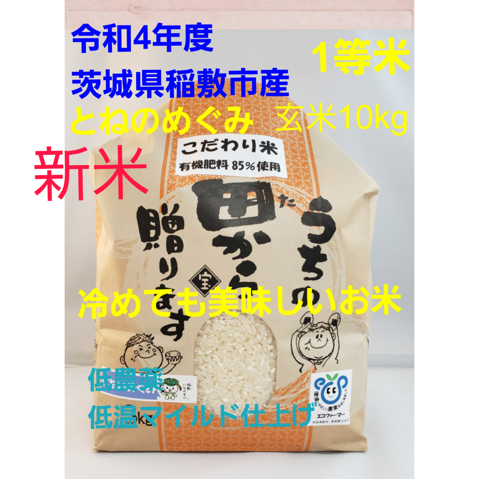 令和3年 茨城県稲敷市産 農家直送のこだわって作った
