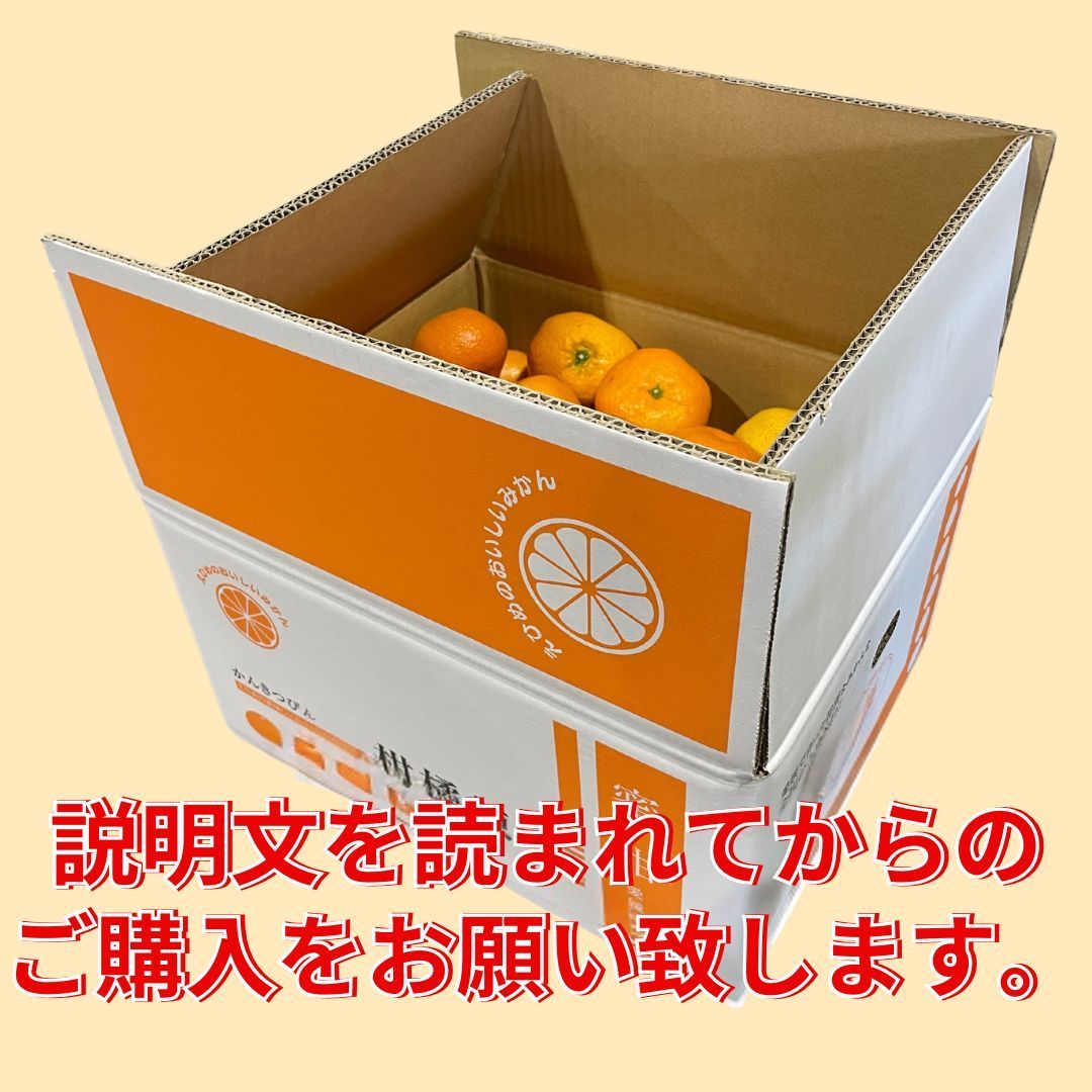 【超お買い得】愛媛県産　愛媛みかん　１０ｋｇ補償有