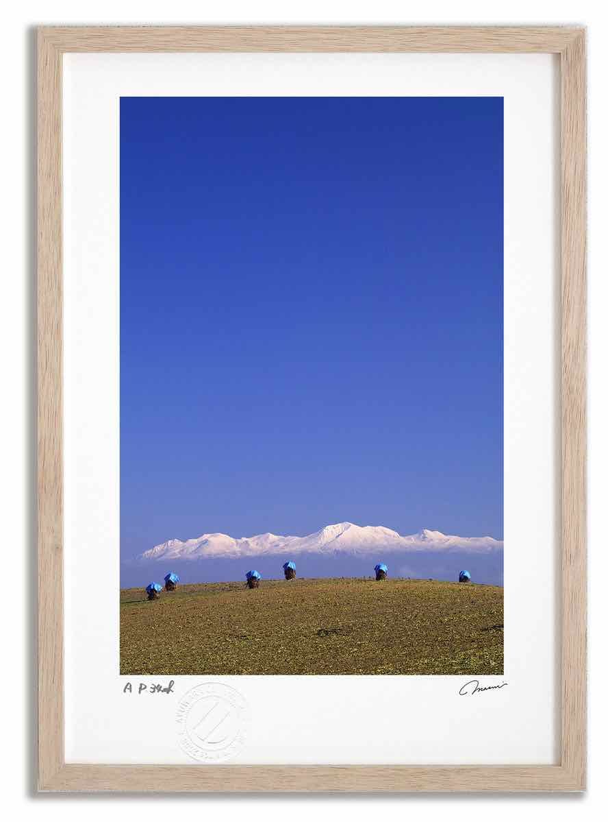 Jean-Leon Gerome、Anacreon: Cupidon s'enf Jean Léon Gérôme