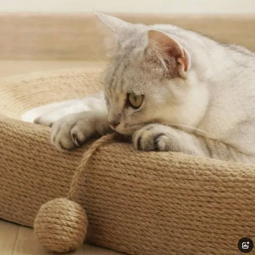 揺れるボール玩具付き 猫用ラウンジマット