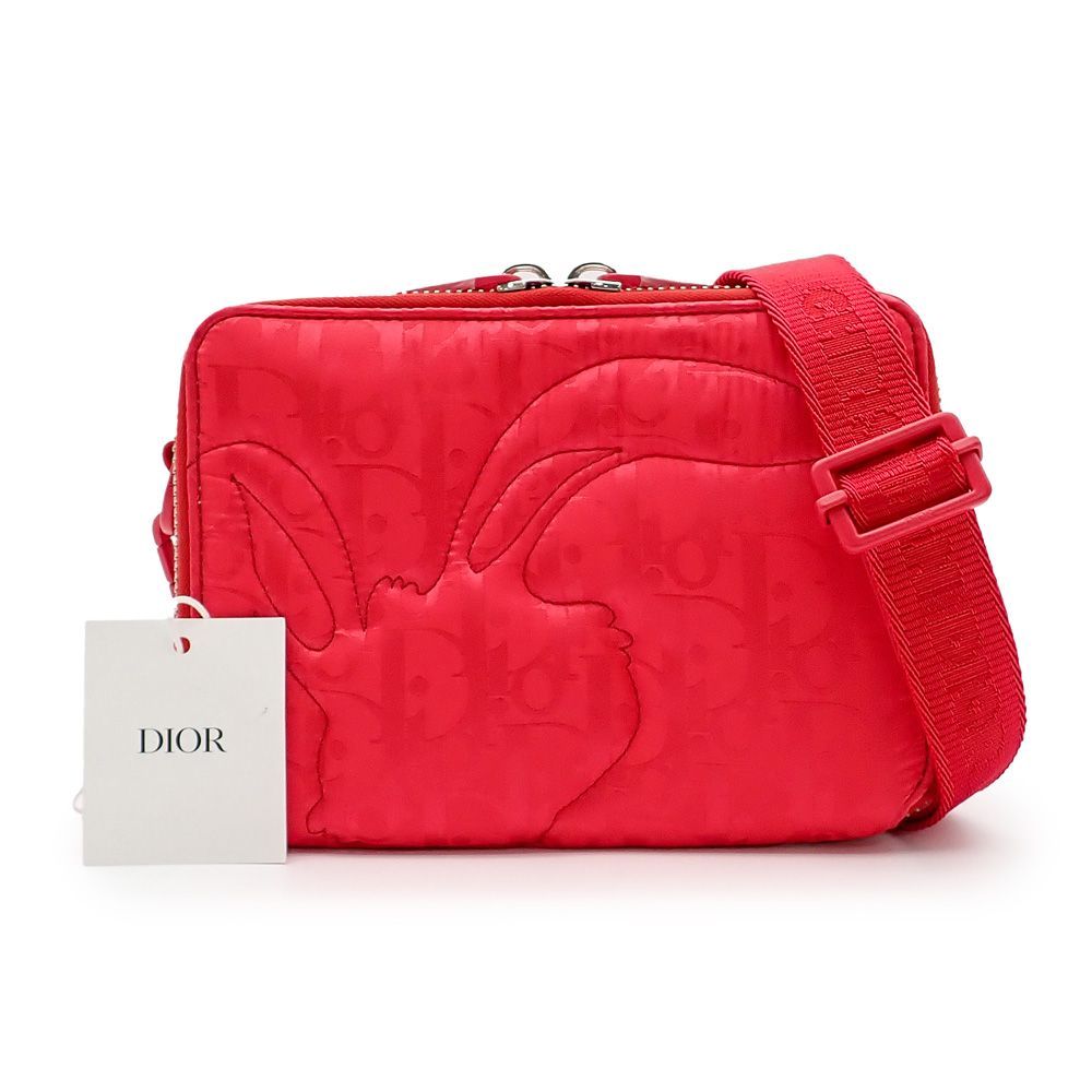 クリスチャンディオール ERL コラボ ショルダーバッグ