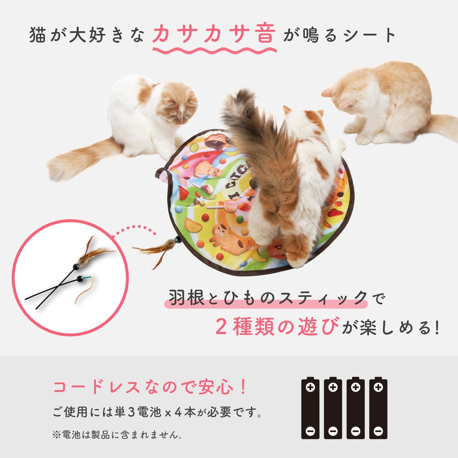 猫壱