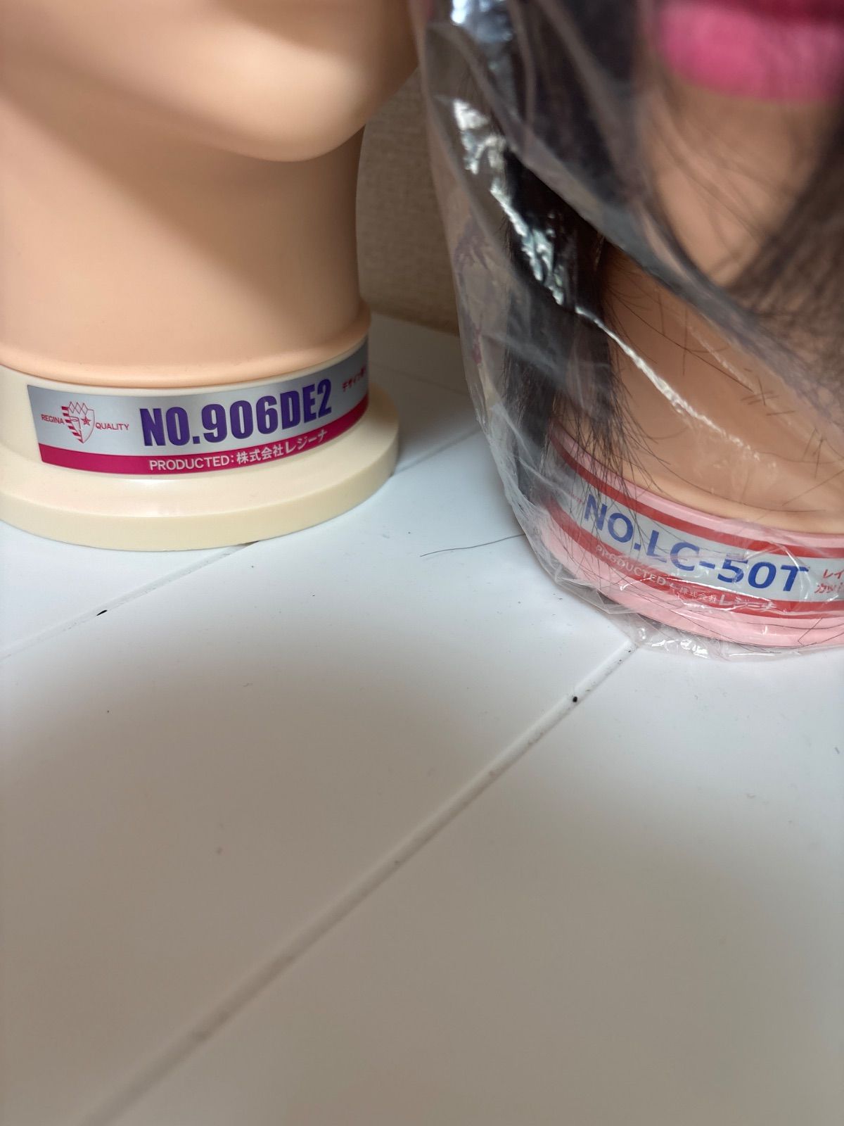 木彫 剣歯虎 ティラコスミルス 頭骨模型 1/2スケール ヘアテール