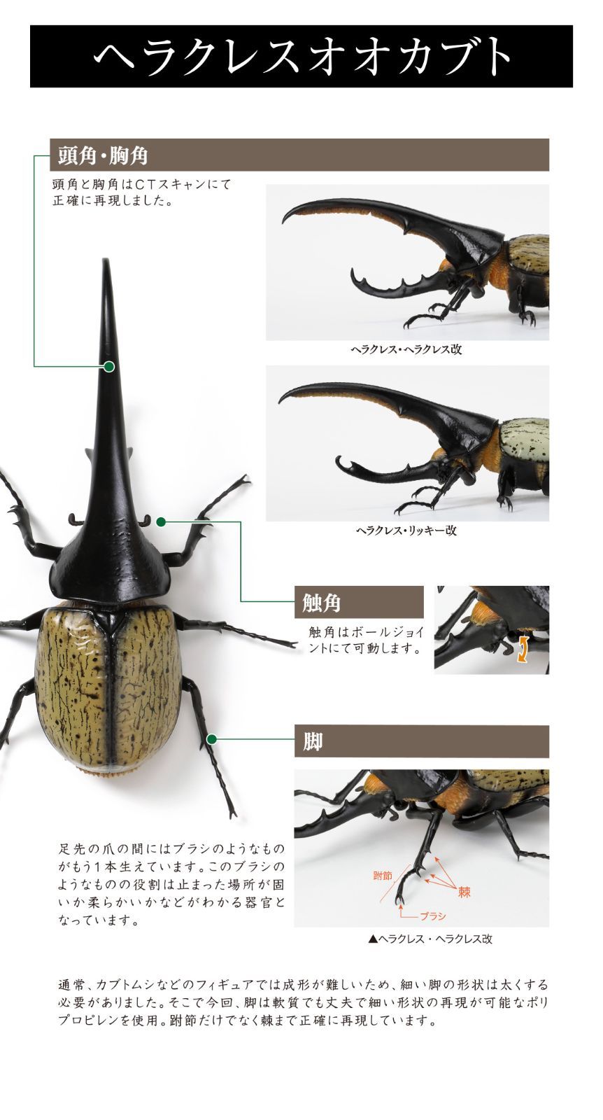 BANDAIいきもの大図鑑かぶとむし07 - メルカリ