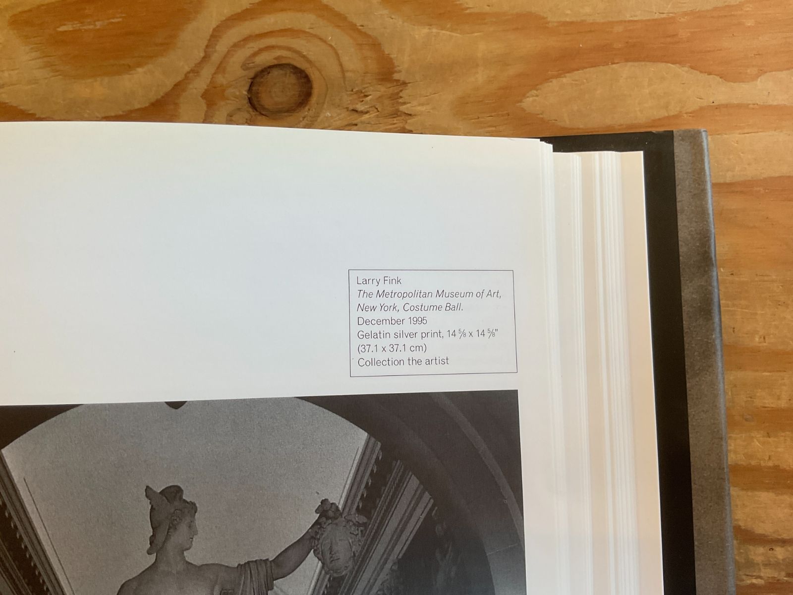 洋書 The Museum as Muse: Artists Reflect