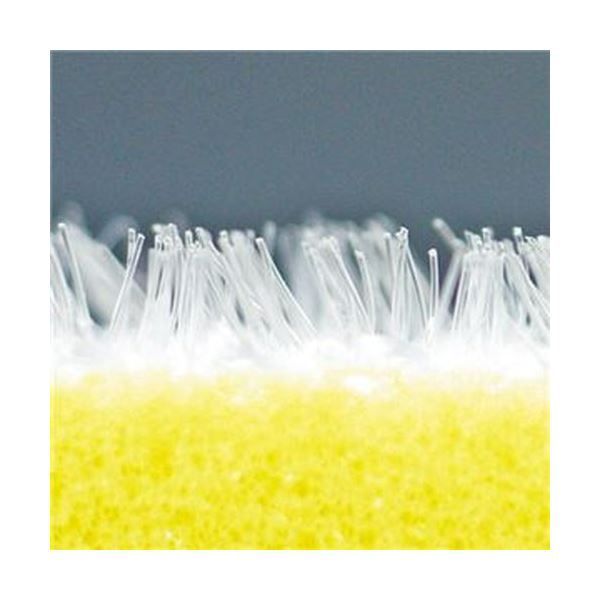 まとめ お風呂床用ブラシスポGBT