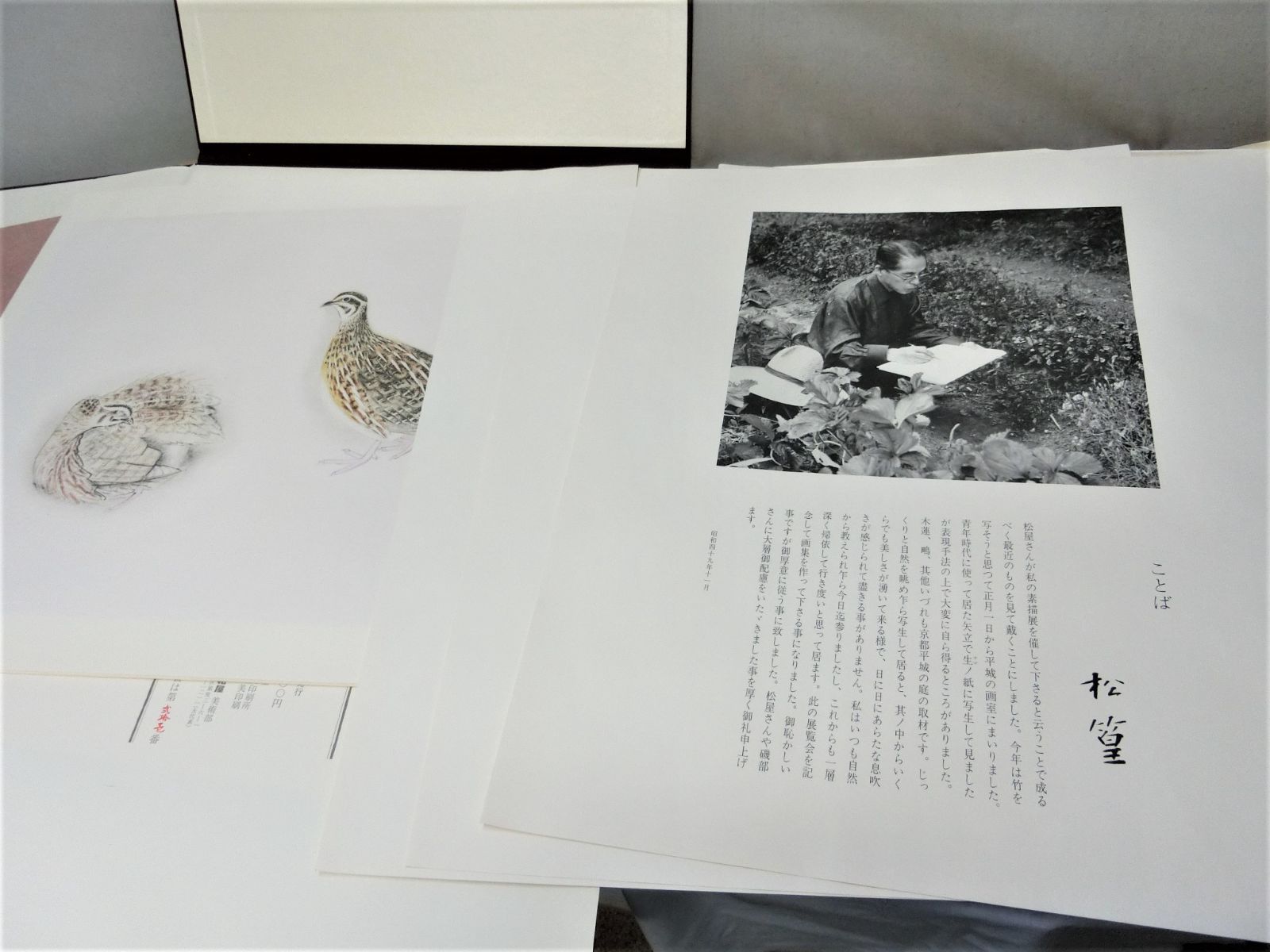 上村松篁 松篁素描 限定発行部数 銀座松屋 定価10万の商品