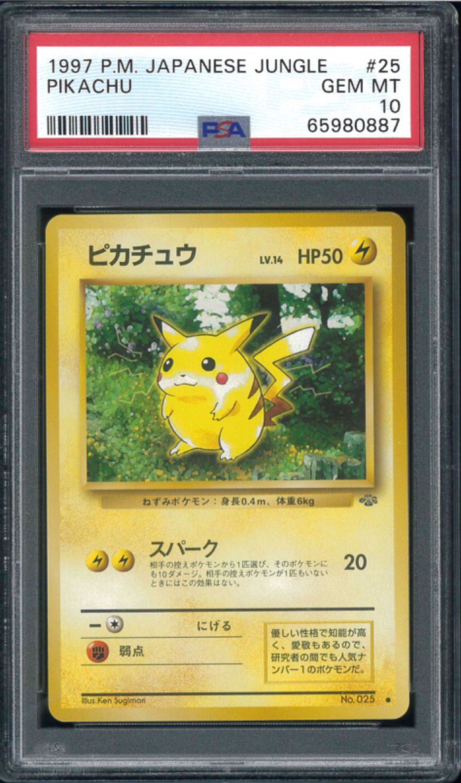 ポケモンカード ピカチュウ ポケモンジャングル 旧裏 旧裏面 PSA10 P001033 - メルカリ