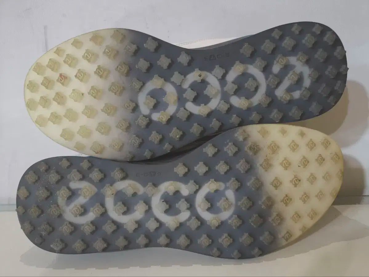 265mm Ecco
