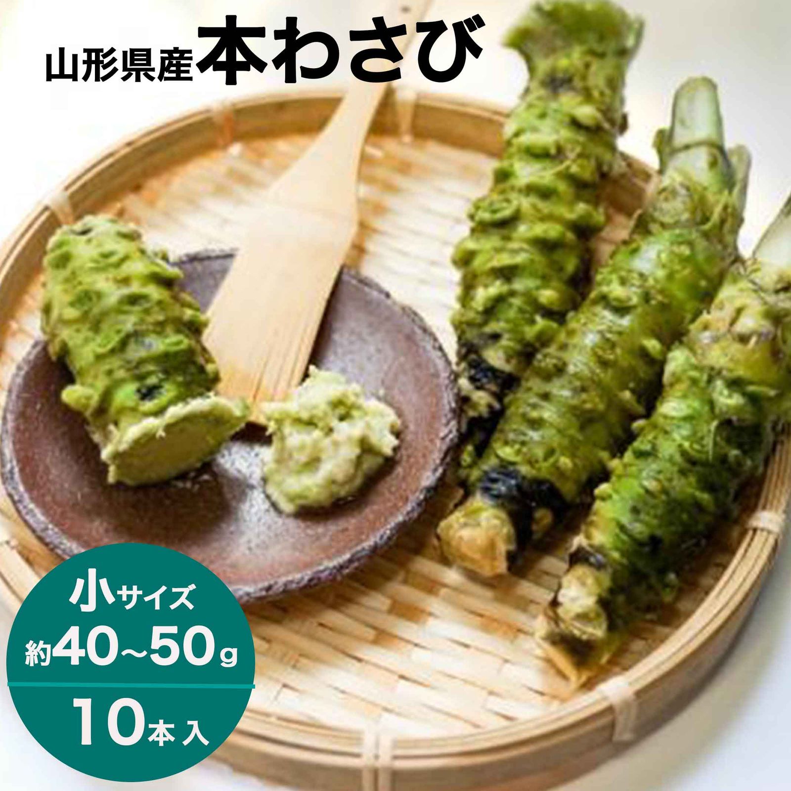 わさび 本わさび 10本 小サイズ 約40～50g 山形 東根 大富農産 wasabi 山葵 クール便