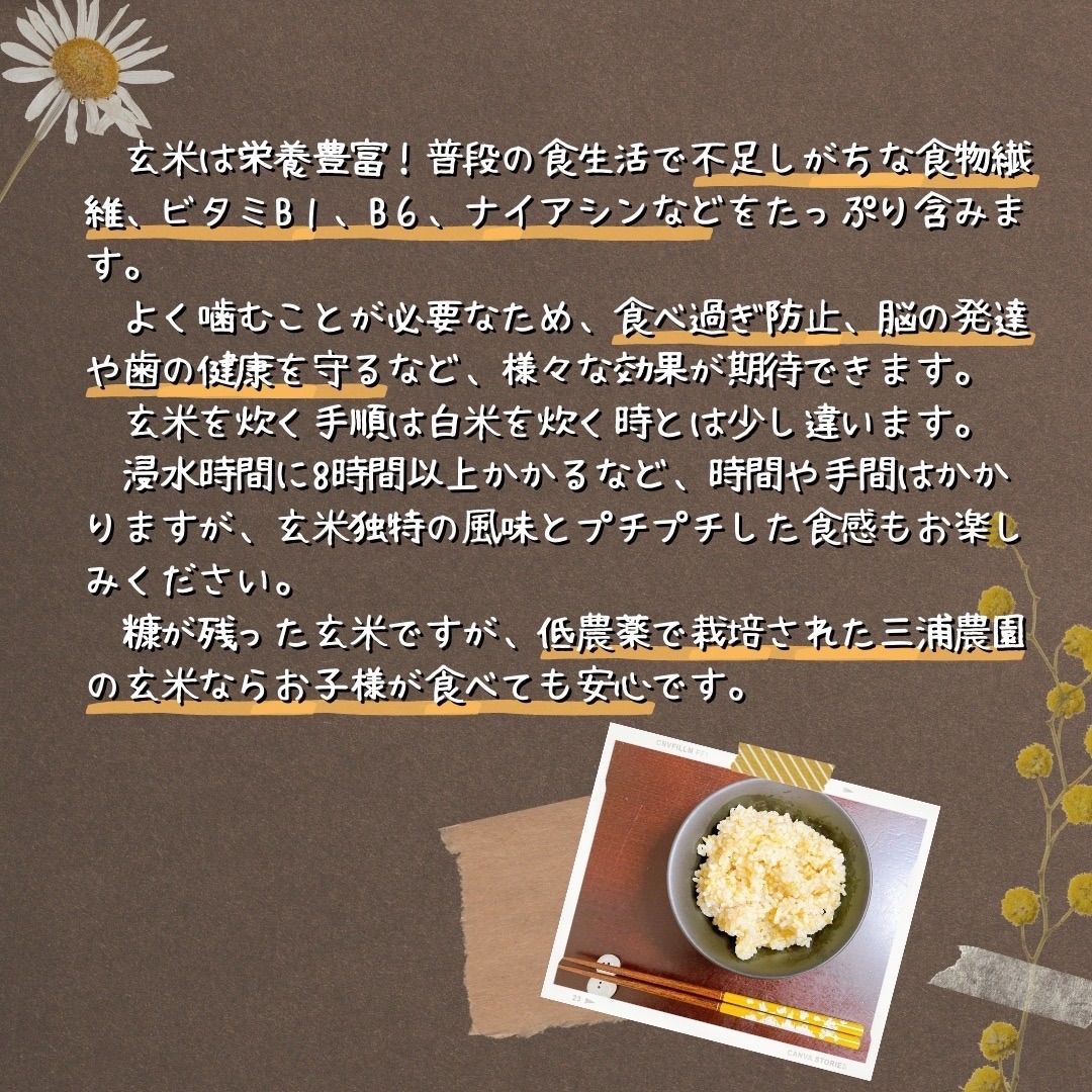 令和3年度北海道産ななつぼし玄米20キロ農家直送（¥8,600） - bvepl.com