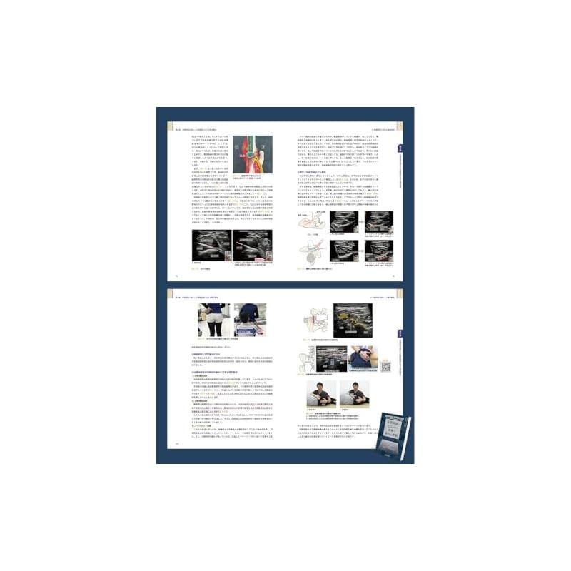 ー末梢神経とエコーから紐解く痛みの解釈ー