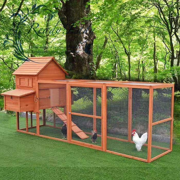 あひる小屋 オウム