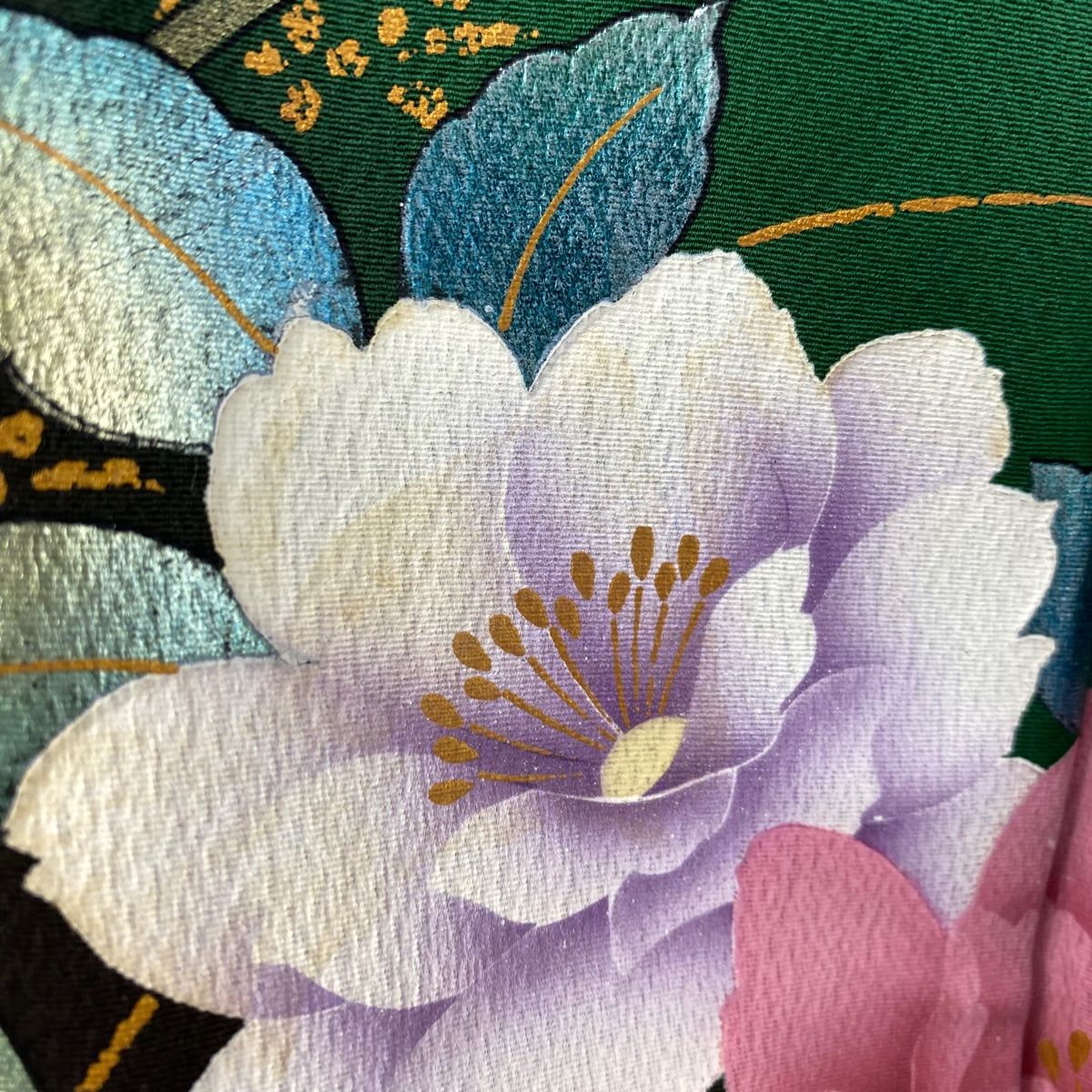 牡丹