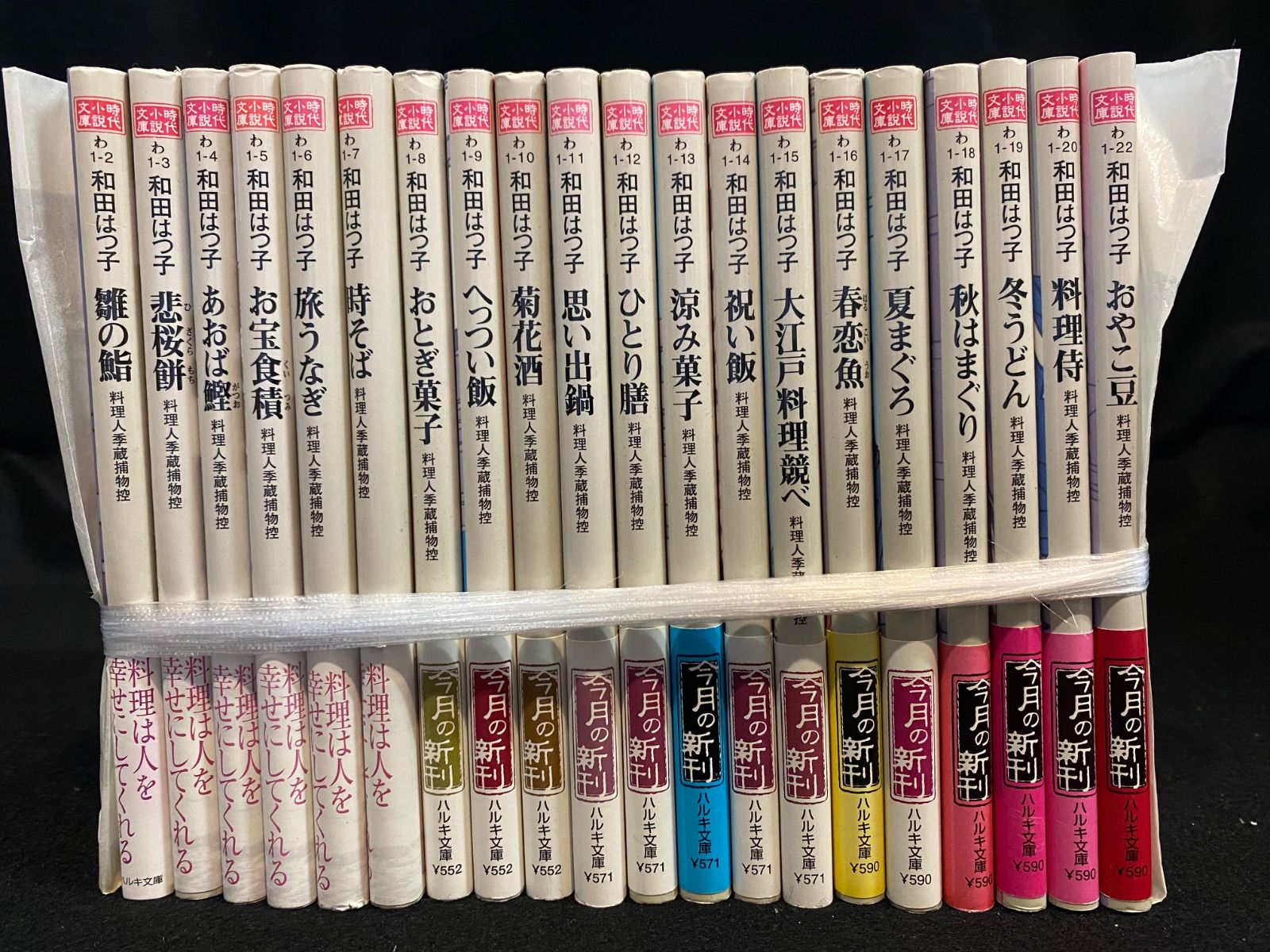 国沢和衛 能楽 羽衣 油彩 8号 油絵