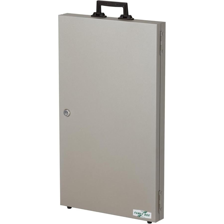 キーボックス 100本用 ディスクシリンダ錠式 FB-100 TANNER カギ 鍵 キーキャビネット 物件管理 キーステーション