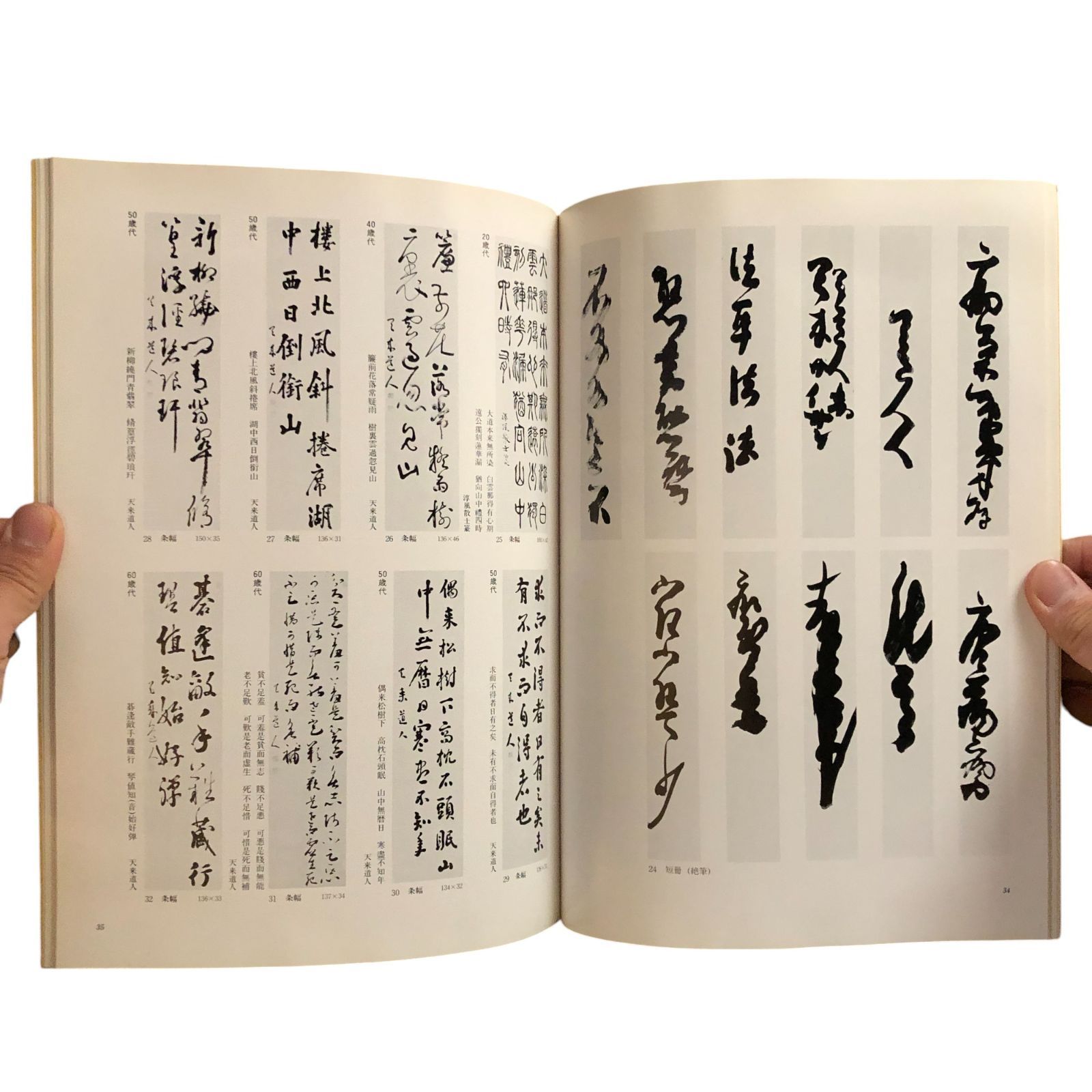 天来三體書範 比田井天来 天来三體書範 比田井天来