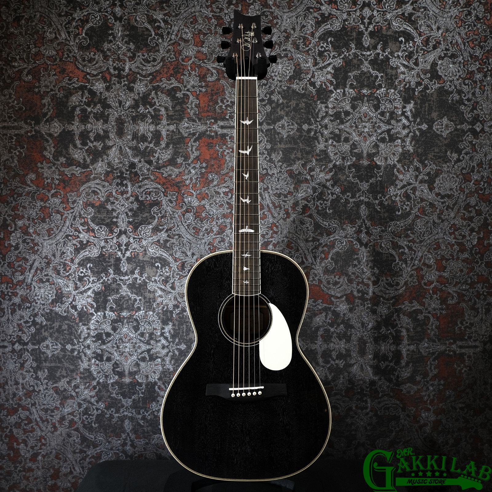 Paul Reed Smith(PRS) SE P20E Dog Hair w/ Fishman Presys VT Pickup