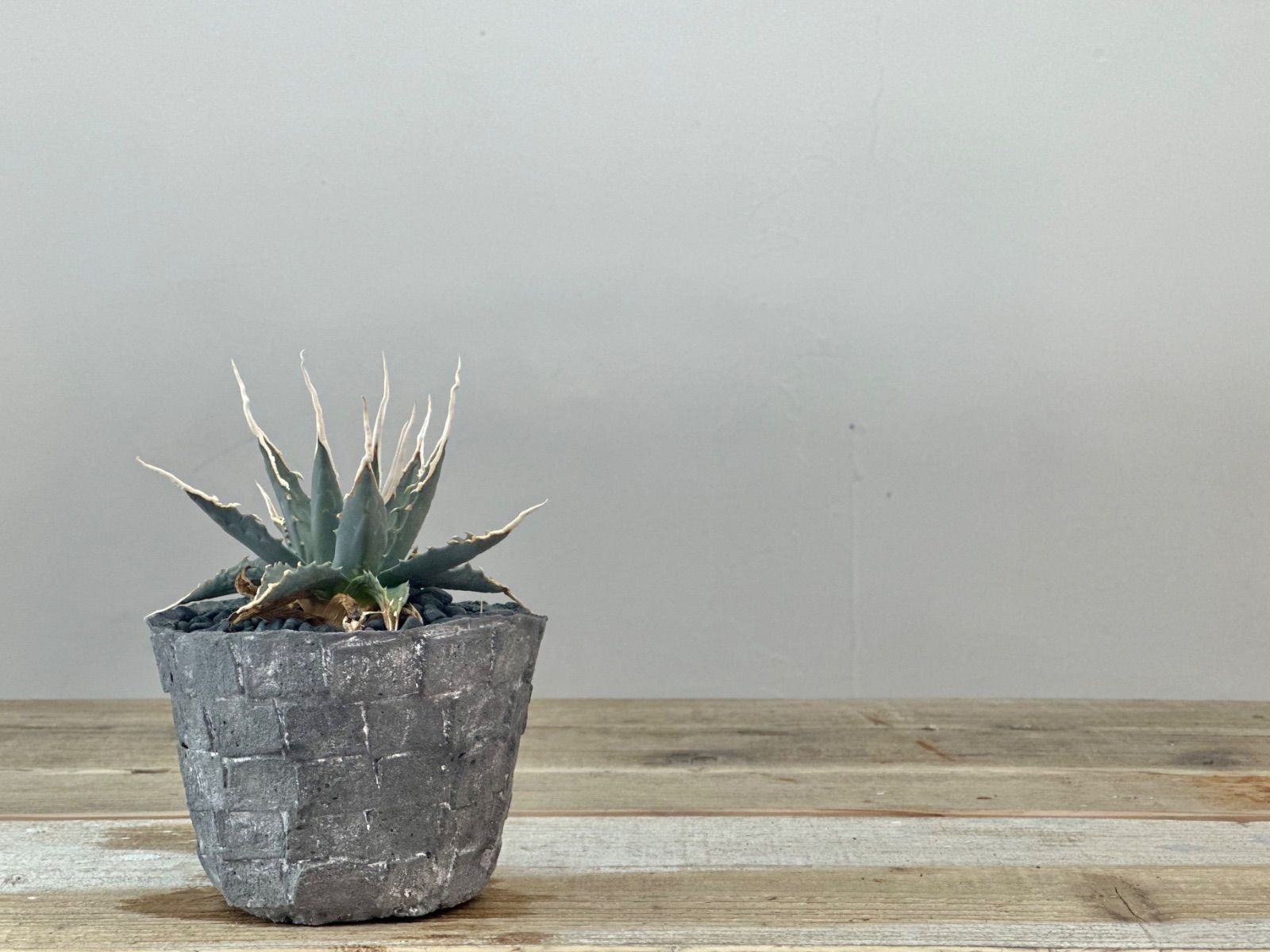 Tetsuzan 木製置物 日本のデザイン 人気