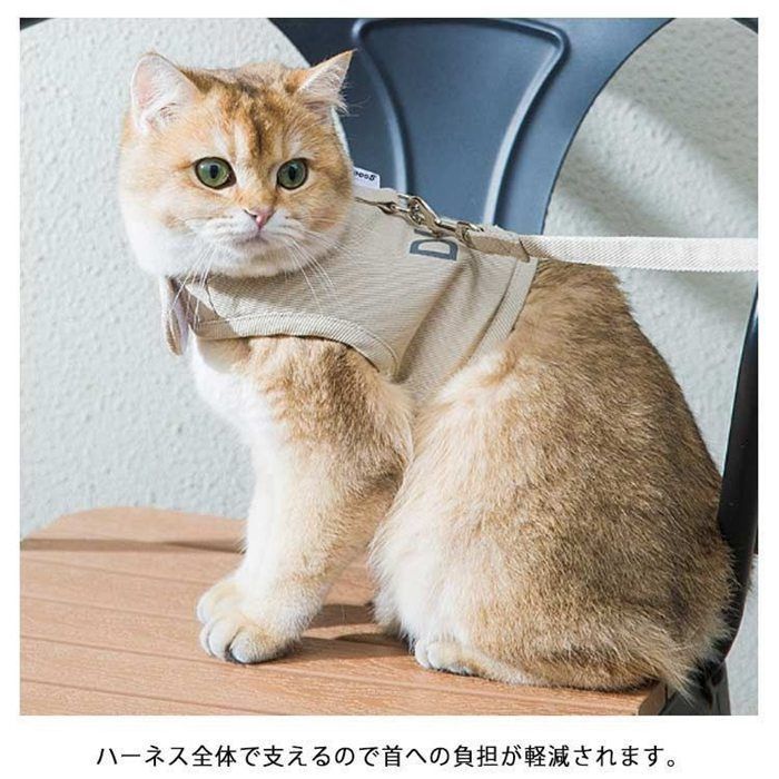 ねこページです♡ ベロ出し黒猫ちゃん | さて