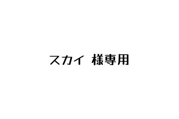 スカイ 様専用 - メルカリ