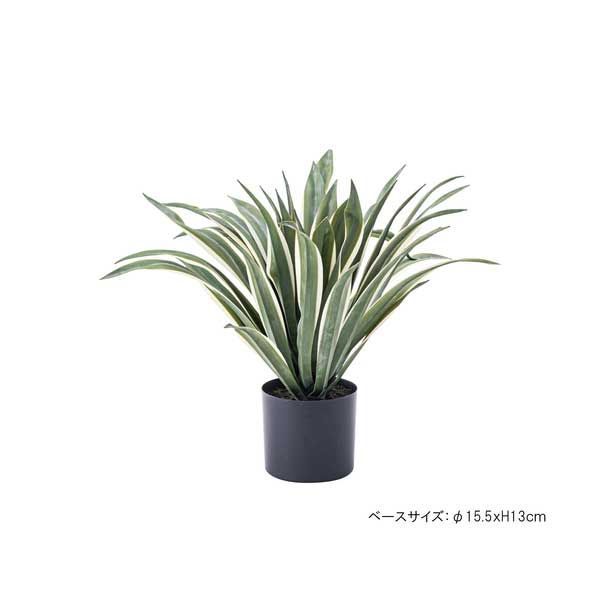  フェイクグリーン 人工観葉植物 No.13 約W 63×D 63×H 50 cm アガベ 人工観葉 フェイクグリーン フラワー ガーデニング
