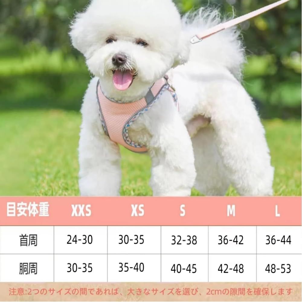 散歩用 調節