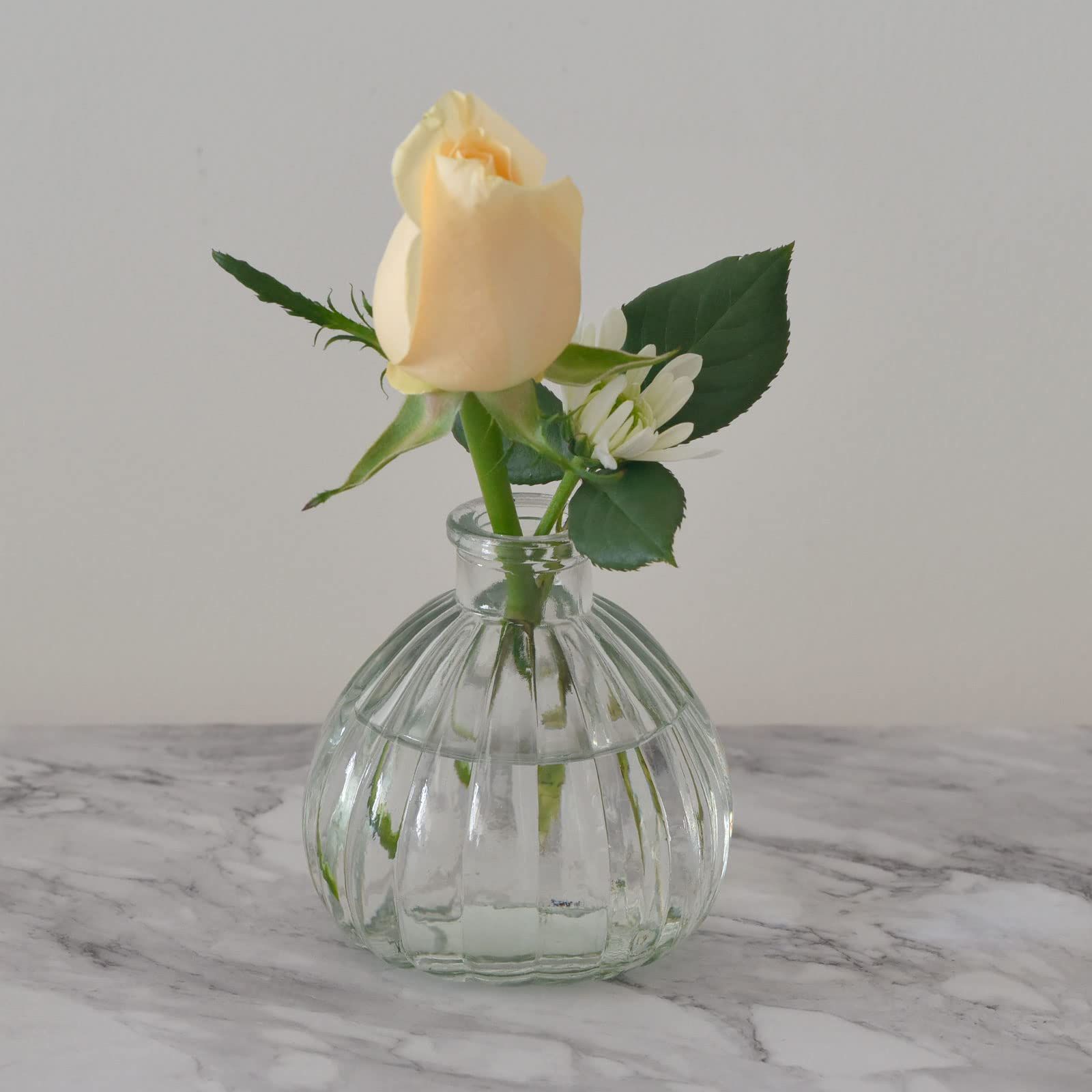 数量限定】ガラスの花瓶3つセット ミニ花器 一輪挿し 水栽培 透明