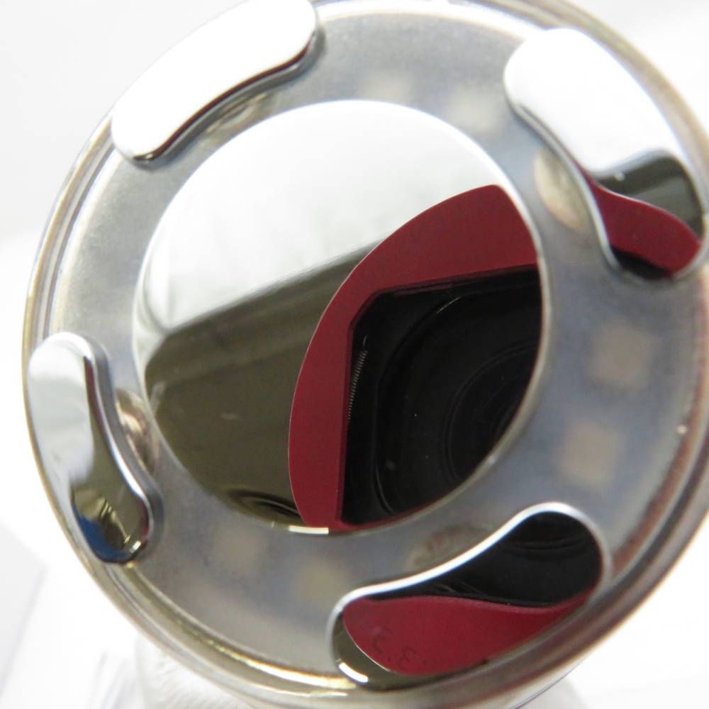  Ruby Cell ルビーセル DSF 1000 ビューティーマスター 美顔器 RF EMS BM 11325 美顔器 美容器 ボディ フェイスケア